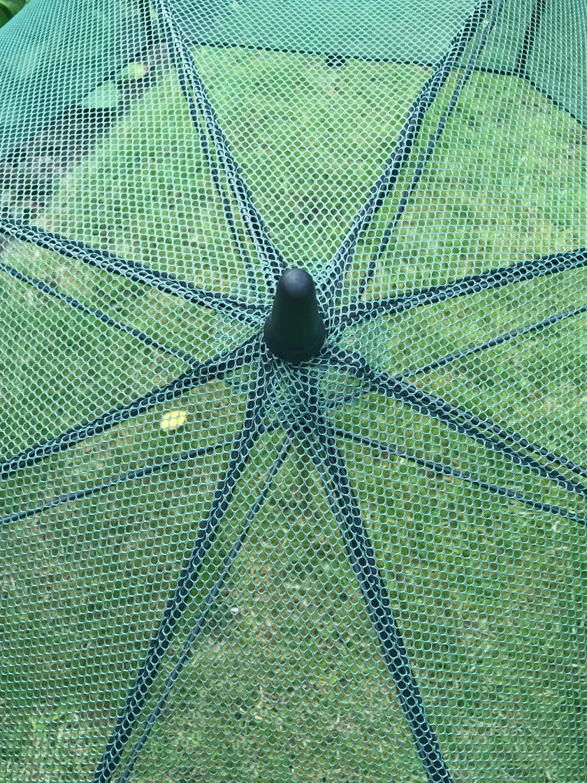 GardenSkill Pop N Crop Plant Umbrella 7 GardenSkill Pop N Crop Plant Umbrella - Image 5