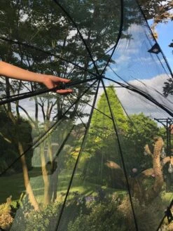 GardenSkill Pop N Crop Plant Umbrella 14 GardenSkill Pop N Crop Plant Umbrella -Flowers Plants Shop 8611105 09V tif