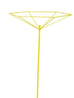 Parasol Plant Supports, Set Of 3 16 Parasol Plant Supports, Set Of 3 -Flowers Plants Shop 8611129 3844 tif