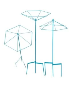 Parasol Plant Supports, Set Of 3 17 Parasol Plant Supports, Set Of 3 -Flowers Plants Shop 8611129 3850 tif
