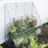 Chicken Wire Flat Back Crop Coop -Flowers Plants Shop 8611701 142 tif