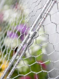Chicken Wire Flat Back Crop Coop -Flowers Plants Shop 8611701 167 tif