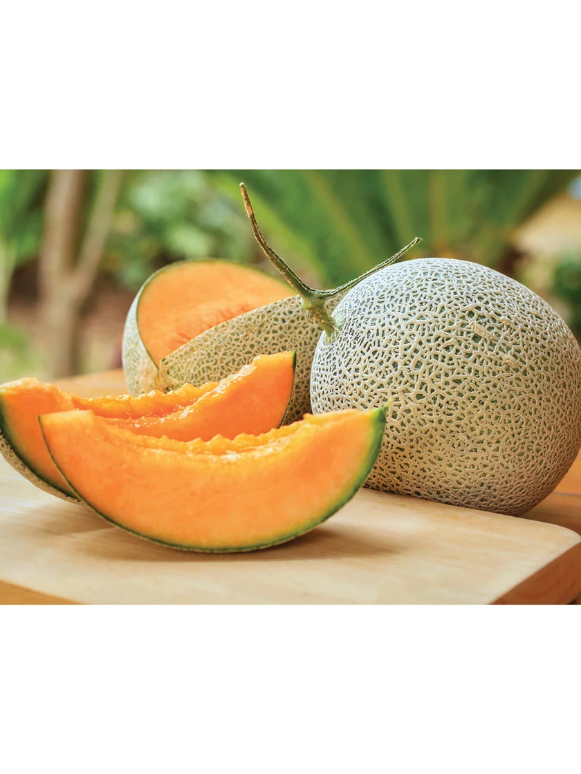 Hales Best Cantaloupe Organic Seeds 4 Hales Best Cantaloupe Organic Seeds - Image 2