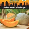 Hales Best Cantaloupe Organic Seeds -Flowers Plants Shop 8611872 02v hales best cantaloupe organic seeds