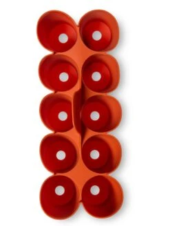 Sili-Seedlings® Seedling Tray, 10-Cell 12 Sili-Seedlings® Seedling Tray, 10-Cell -Flowers Plants Shop 8611886 3821 tif