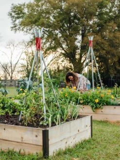 DIY Connector For Teepee Trellis 21 DIY Connector For Teepee Trellis -Flowers Plants Shop 8611896 38 tif