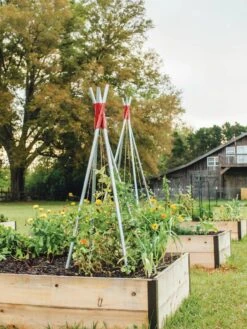 DIY Connector For Teepee Trellis 20 DIY Connector For Teepee Trellis -Flowers Plants Shop 8611896 71 tif