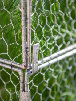 Chicken Wire Crop Coop Extension -Flowers Plants Shop 8611940 232 tif