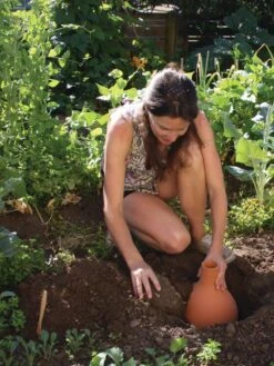 Hydro Max Watering System -Flowers Plants Shop 8611967 15V tif