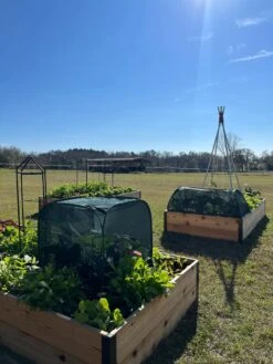 Pest Control Pop-Ups -Flowers Plants Shop 8611989 05 tif