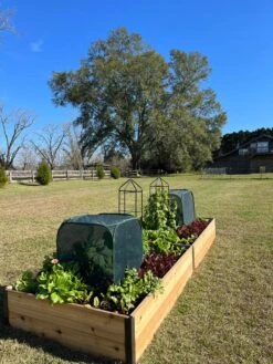 Pest Control Pop-Ups -Flowers Plants Shop 8611989 08 tif