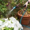 Indoor Outdoor Plant Sprayers -Flowers Plants Shop 8611993 029 tif