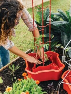 Deluxe Tomato Halos, Set Of 2 -Flowers Plants Shop 8612045 135 tif