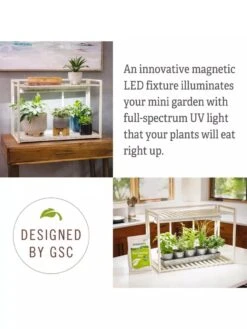 Tabletop Grow Kit -Flowers Plants Shop 8612507 4