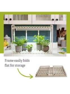 Tabletop Grow Kit -Flowers Plants Shop 8612507 5