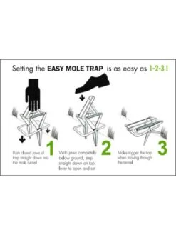 Easy Mole Trap 8 Easy Mole Trap -Flowers Plants Shop 8612557 04v 1