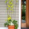 Flock Of Friends Pot Trellis -Flowers Plants Shop 8612635 0081 flock of friends pot trellis