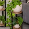 Double Tower Plant Stand 1 Double Tower Plant Stand -Flowers Plants Shop 8612683 2228 double tower plant stand