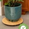 Bamboo Plant Caddy Round, 15.75" -Flowers Plants Shop 8612716 14