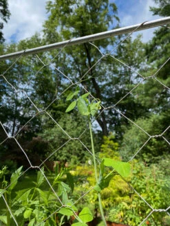 Chicken Wire Pea Trellis -Flowers Plants Shop 8612718 7311