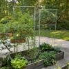 Chicken Wire Pea Trellis -Flowers Plants Shop 8612718 7313 chicken wire pea trellis