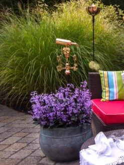 Sonoma Hose Pot -Flowers Plants Shop 8612733 02V tif