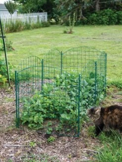 6 Panel Critter Fence With Gate -Flowers Plants Shop 8612967 2570 tif