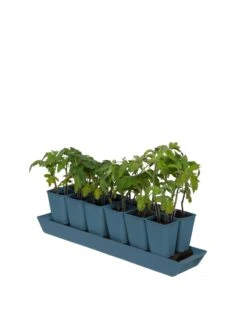 Gardener's Best® XL Seed Starting Kit 18 Gardener's Best® XL Seed Starting Kit -Flowers Plants Shop 8613066 0029