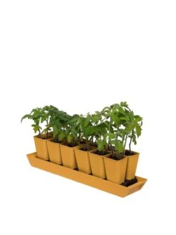 Gardener's Best® XL Seed Starting Kit 16 Gardener's Best® XL Seed Starting Kit -Flowers Plants Shop 8613066 1029