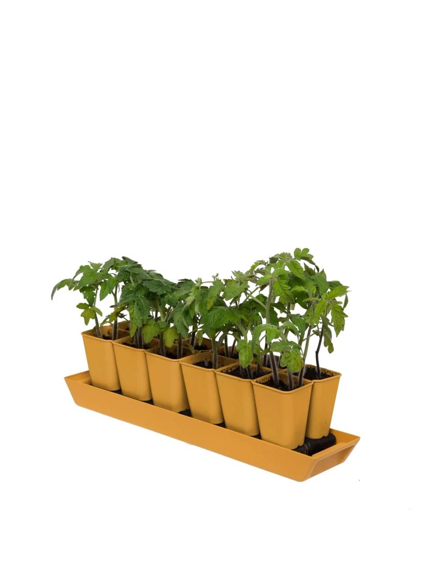 Gardener's Best® XL Seed Starting Kit 6 Gardener's Best® XL Seed Starting Kit - Image 4