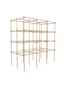 Tomato Six Pack Support -Flowers Plants Shop 8613143 5402 6 pack tomato support