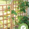 Bamboo Zig-Zag Trellis 24" X 36" 1 Bamboo Zig-Zag Trellis 24" X 36" -Flowers Plants Shop 8613151 15