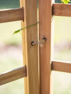 Bamboo Zig-Zag Trellis 24" X 36" 17 Bamboo Zig-Zag Trellis 24" X 36" -Flowers Plants Shop 8613151 6483