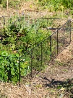 Chicken Wire Critter Fence, 16" High 20 Chicken Wire Critter Fence, 16" High -Flowers Plants Shop 8613249 0336