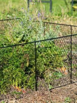 Chicken Wire Critter Fence, 16" High 16 Chicken Wire Critter Fence, 16" High -Flowers Plants Shop 8613249 0352