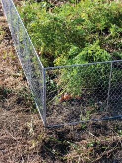 Chicken Wire Critter Fence, 16" High 17 Chicken Wire Critter Fence, 16" High -Flowers Plants Shop 8613249 0358