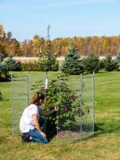 Tall Chicken Wire Critter Fence Extension Panel, Set Of 2 -Flowers Plants Shop 8613260 0044 1