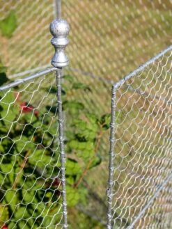 Tall Chicken Wire Critter Fence With Gate -Flowers Plants Shop 8613260 0083