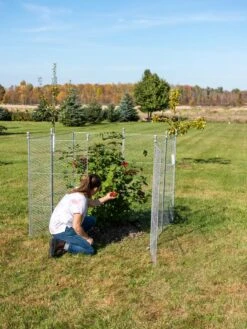 Tall Chicken Wire Critter Fence Extension Panel, Set Of 2 -Flowers Plants Shop 8613260 0090