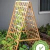 Bambo A Frame Plant Support, 30" X 42.5" 2 Bambo A Frame Plant Support, 30" X 42.5" -Flowers Plants Shop 8613310 16