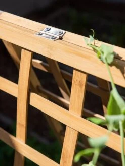 Bambo A Frame Plant Support, 30" X 42.5" -Flowers Plants Shop 8613310 6525