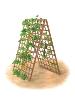 Bambo A Frame Plant Support, 30" X 42.5" -Flowers Plants Shop 8613310 art flat