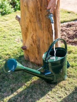 Long Reach Watering Can, Large 11 Long Reach Watering Can, Large -Flowers Plants Shop 8613346 0147
