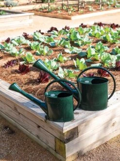 Long Reach Watering Can, Large 12 Long Reach Watering Can, Large -Flowers Plants Shop 8613346 0148 1