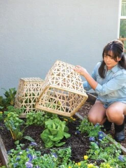 Bamboo Cloche, Set Of 2 -Flowers Plants Shop 8613351 6862