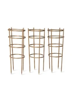 Bamboo Tomato Cages, Set Of 3 -Flowers Plants Shop 8613426 4679 bamboo tomato cages 3