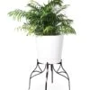 Aubrey Adjustable Plant Stand -Flowers Plants Shop 8613454 5716 aubrey adjustable plant stand