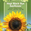 Hopi Black Dye Sunflower Organic Seeds 2 Hopi Black Dye Sunflower Organic Seeds -Flowers Plants Shop 8613630 01v hopi black dye sunflower