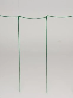 Curved Linking Stakes -Flowers Plants Shop GS35241 04S tif