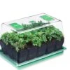 Deep Root Seedstarting System, Black -Flowers Plants Shop GS35657 03Z tif